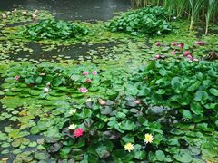 -大连植物园