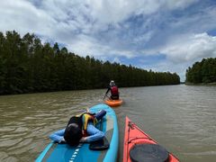 -上海海湾国家森林公园