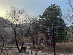 -香山公园