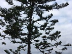 -海珠儿童公园