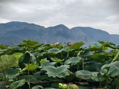 -大理洱源西湖景区