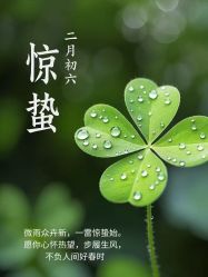 -薇光映画摄影美学馆