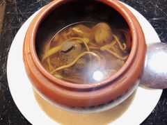 -三强鸽子(中原路店)