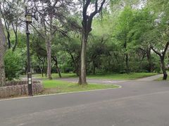 -北陵公园