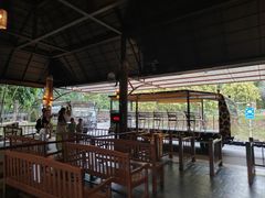 -清迈夜间动物园