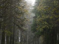 -山王坪喀斯特国家生态公园