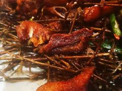 -杨记隆府(南坪店)