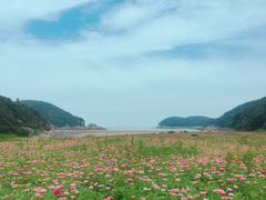 -东海半边山旅游度假区