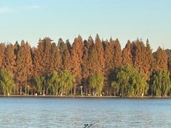 -浙江西子宾馆·瑶园咖啡厅