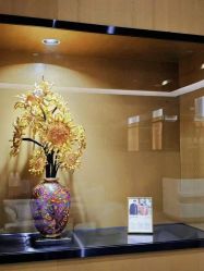 -四川米兰柏羽医学美容医院