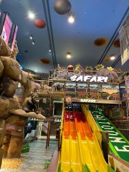 -卡通尼·Safari非洲探索乐园·生日会(金桥国际商业广场店)
