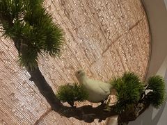 -春天来了(印象新天地店)