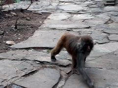 -山西通天峡景区