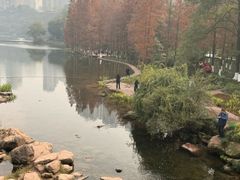 -重庆彩云湖湿地公园