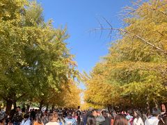 -辽宁大学(崇山校区)