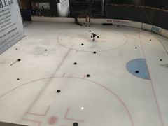 -TheRink大零溜冰场(IFS国金中心店)