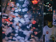 -重庆欢乐海底世界