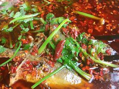 -胖大姐黄辣丁鱼庄(新津店)