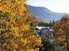 -塔川景区