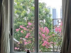 -中山大学孙逸仙纪念医院(北院区)