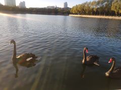 -长春世界雕塑园冰雪艺术天地