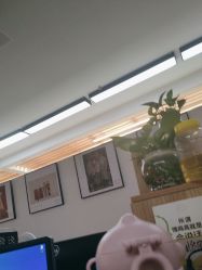 -27°罗马风情婚纱摄影