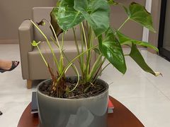-百汇医疗健康管理与出国体检中心