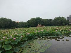 -北陵公园