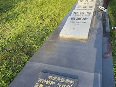 -横道河子东北虎林园