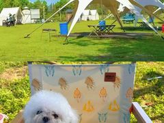 -上海山野camping·户外天幕烧烤·团建拓展营地