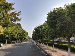 -西南政法大学(渝北校区)