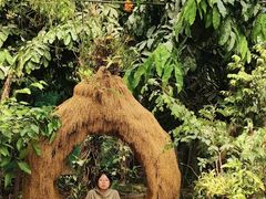 -呀路古热带植物园