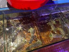 -辉记炭烧海鲜大排档·老字号(福田店)