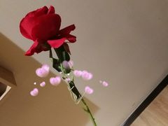 -7天优品·南京东南大学鼓楼医院店