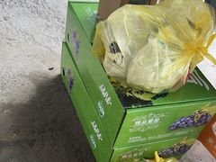 -马陆小张葡萄园农家乐