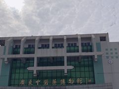 -广东中医药博物馆