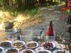-Bamboo Saturday Market(Nana Jungle)