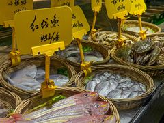 -舟小鲜·舟山小渔村(凤城四路中登广场店)