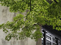 -惠山古镇·寄畅园