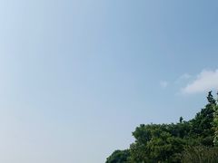 -贡湖湾湿地公园