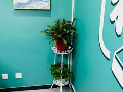 -杠上开花自助棋牌室