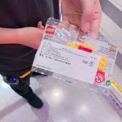 -乐高品牌旗舰店(人民广场店)
