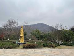 -南京老山国家森林公园