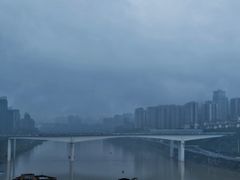 -李子坝梁山鸡(李子坝大鸡哥店)