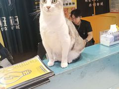 -谜盒子奇幻密室(南屏店)