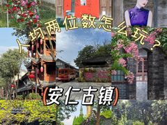 -安仁古镇