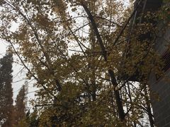 -白马涧龙池景区