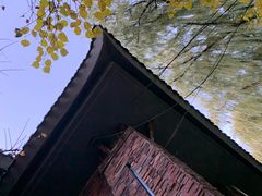 -东北农业大学饺子园