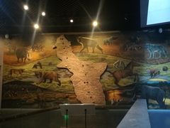 -北京周口店北京人遗址博物馆