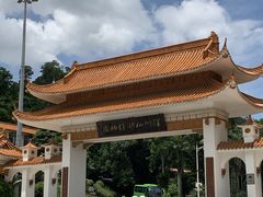 -深圳仙湖植物园